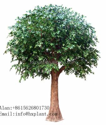 China Synthetic environmental artificial banyan tree ficus leaves with varieties of style for sale