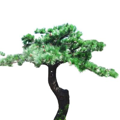 China Factory Price Large Evergreen Artificial Trunk Decorative Pine Trees for sale