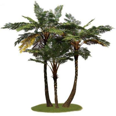 China Eco-friendly Materials Decor Simulation Fern Leaf Plant Big Artificial Alsophila Indoor Outdoor Spinulosa Tree For Dinosaurs Park for sale