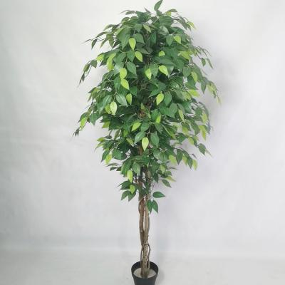 China High Quality Durable Indoor Outdoor Weeping Artificial Fig Indoor Plant Benjamin Ficus Plant Tree For Decoration for sale