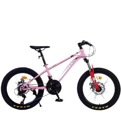 China Factory Wholesale Outdoor Sports Mountain Bike 20 Inch Mountain Bike For Adult Boys Bike With Cheap Price Shimano Bicicletas Mountain Bike for sale