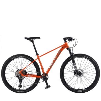 China Customizable Outdoor Aluminum Alloy Mountain Bike Aluminum Alloy Frame Disc Brake Aluminum Rims 29 Inch Adult Bike 12 Speed ​​Hydraulic Brake for sale