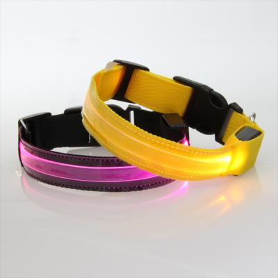 China The Lights New Product Metal Buckle Dog Chain Collar Volume for sale