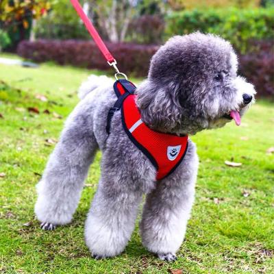 China New Thoughtful Popular Luxury Pet Harness Leash Set For Small Dog for sale