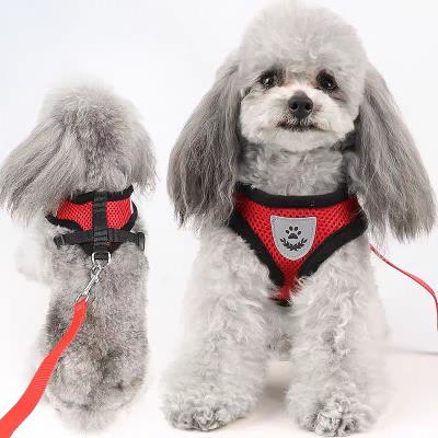 China Thoughtful Newcomer Red Utility Dog Leashes And Chest Pet Harness Set for sale