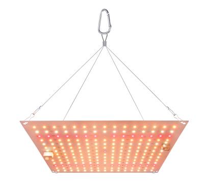 China Seed Starting LED Sunlike Quantum Grow Lamp 60W Professional LED Grow Light Dual Control For Hydroponic Greenhouse Plant Growth Lighting for sale