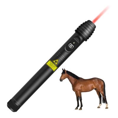 China Electronic Handheld Laser Acupuncture Pen Therapeutic Apparatus Relieve Stroke Laser Therapy 30*30*245mm/0.28kg for sale