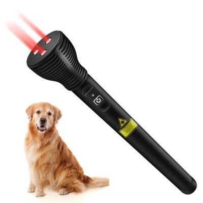 China Pain Relief Laser Therapy Class 4 Laser Therapy Pen Cold Laser Therapy Animals For Pet Use 45*45*260mm/0.31kg for sale