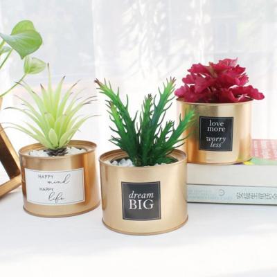 China Beautiful and real touch artificial succulent plants green grass plastic cactus with plant gold succulent pot for sale