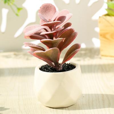 China Sale Realistic Succulent White Ceramic Pot Dirsct Plant Artificial Succulent Plants For Indoor Outdoor Decoration for sale