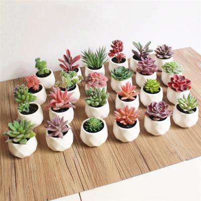 China New Design Wholesale Realistic Mini Succulent With Ceramic Pot Artificial Succulent Plants for sale