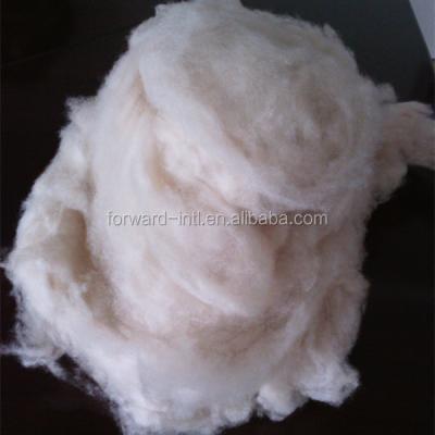 China 100% cashmere fiber wool depilated raw material on sale for sale