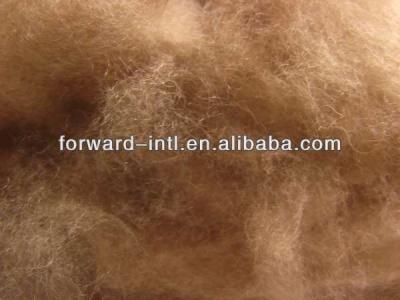 China 100% wool combed natural yellow camel hair camel wool for sale