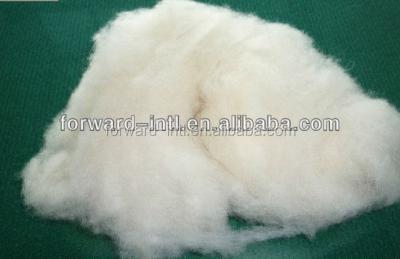 China 100% wool combed sheep wool, sheep cashmere fiber, sheep wool fiber for sale