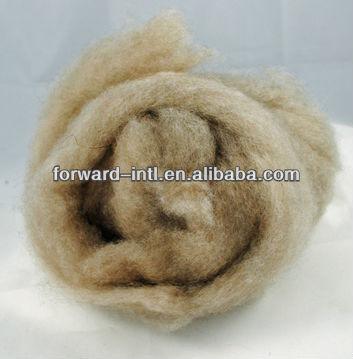 China 100% wool goat hair, goat wool, cashmere fiber for sale