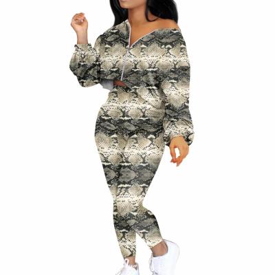 China Anti-wrinkle Autumn/Winter Keep Warm Women Clothing Tracksuit Hot Sale Women Tracksuit Set Drop Shipping Snakeskin Pattern Woman's Jackets for sale