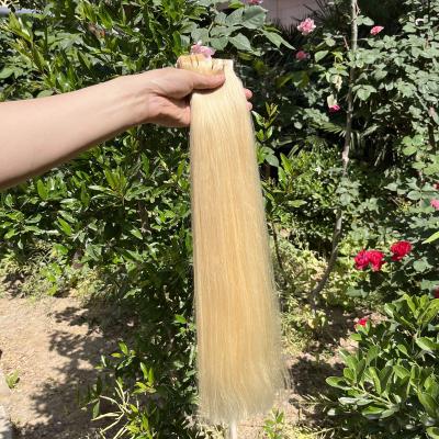 China 100% Human Remy Hair Extension Tape In Blonde Virgin Promotion Brazilian Straight Natural Hair Extension Seamless Double Drawn Vendors for sale