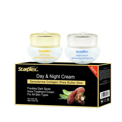 China Wholesale Anti Aging Orgainc Face Cream Ganoderma Collagen Face Cream Set Herbal Ginseng Whitening Day And Night Face Cream for sale