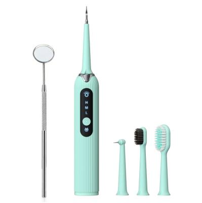 China For Home Use Tooth Hygiene Sonic Tooth Calculus Ultrasonic Dental Scaler Rechargeable Portable Set for sale