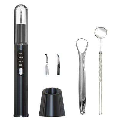 China Convenient Home Use Handheld Tooth Whitening Personal Cleaning Plate Refine Ultrasonic Dental Scaler for sale