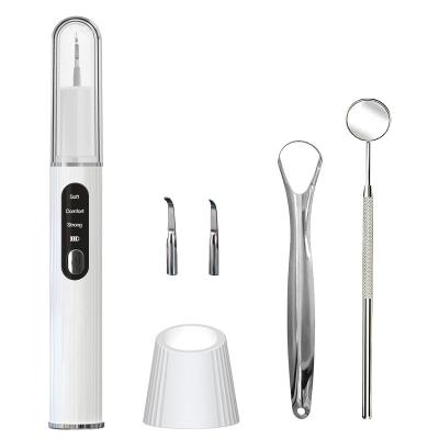 China Convenient Ultrasonic Tooth Cleaner Electric Tooth Scaler Irrigator Teeth Whitening Tartar Remover for sale