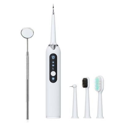 China Home + Office + Travel Sonic Electric Toothbrush Flawless Replacement Heads Oral Care Appliances for sale