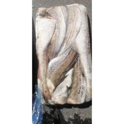 China Nutritious Guaranteed Eat With Confidence Frozen Fish Pollock for sale