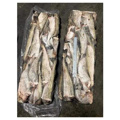 China Cheap and big sale factory wholesale nutritious frozen fish pollock for sale