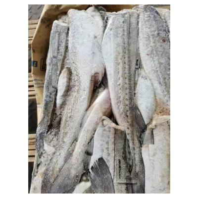 China Nutritious Homemade Delicious Taste Frozen Fish Hake for sale