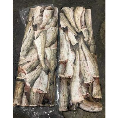 China High Quality Hot Sale Nutritious Well Preserved Fish Frozen Pollock for sale