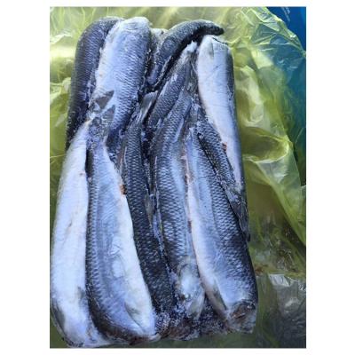 China Cheap And Wholesale High Quality Preserved Nutritious Good Frozen Herrings Fish for sale