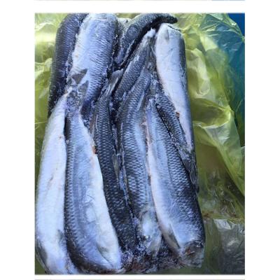 China Good Quality Nutritious Wholesale Frozen Herring Fish W/R Buy Frozen Fish From Russia for sale