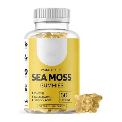 China Vegan OEM ODM Thyroid Support Private Label Detox Cleanse Body Sea Moss Gummy Vegan Seamoss Gummies for sale