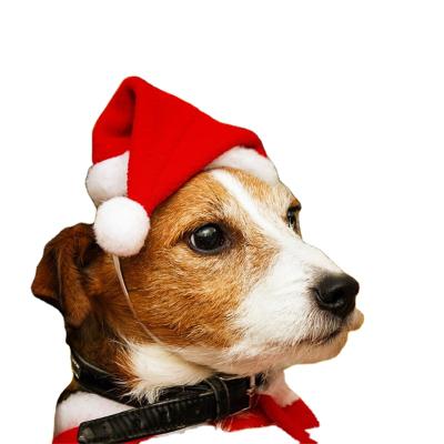 China Sustainable Christmas Decorations Cat Dog Santa Red Hat Merry Christmas New Year Festival Pet Dress Up Christmas Pet Supplies Accessories for sale