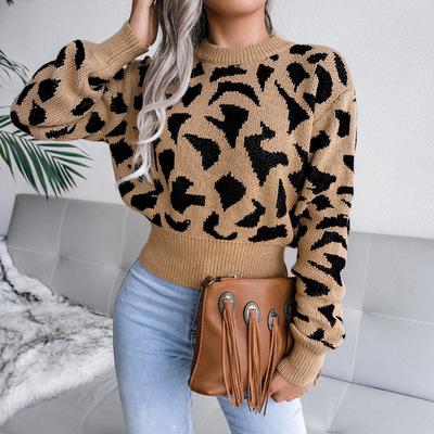 China Anti-Wrinkle Anti-Wrinkle Factory Winter Leisure Leopard Print Custom Size Knitted Navel Sweater Women for sale