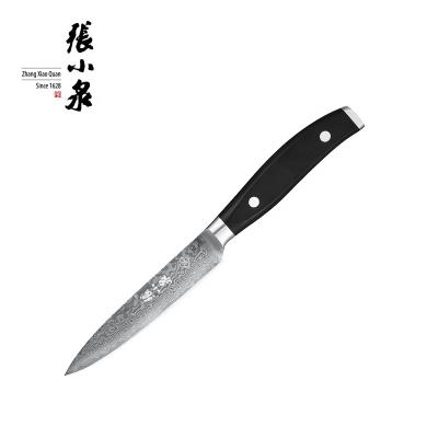 China Professional Disposable Vg10 Damascus Knife Kitchen Steel Serving Knife With ABS Handle for sale