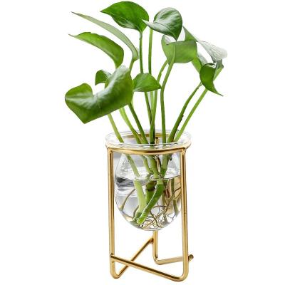 China Modern Desktop Hydroponic Vase Hydroponics Flower Plant Mini Greenhouse Container Glass Vase Wedding Geometric Gold Vase Tube for sale