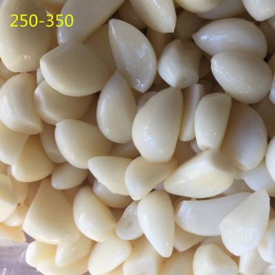 China PRESERVED Pickled Organic Garlic Brine 250-350 pcs in box for sale