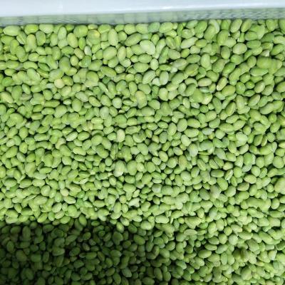 China IQF FROZEN organic peas in fresh state for sale