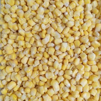 China FROZEN organic IQF maize rice in fresh condition for sale