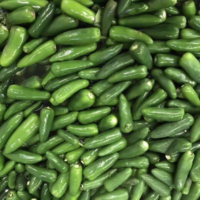 China IQF Fresh Organic Jalapeno in Fresh State for sale