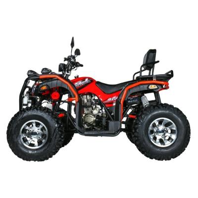 China Cf 250CC Professional Motorcycle Bikeatv 4x4 Quad Bike OEM 250cc 300cc 4X4 Adult Farm ATV 2022 Engine for sale