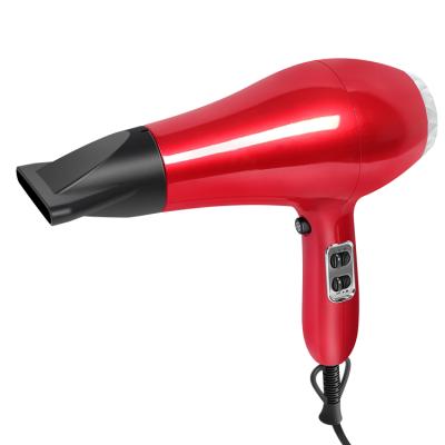 China Factory supply ionic ac motor electric professional hair dryer for salon for sale