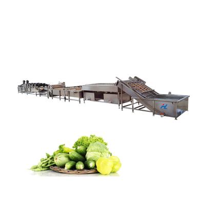 China Snack Factory Guaranteed Quality Multifunctional Vegetable Washing Machine Sorter for sale