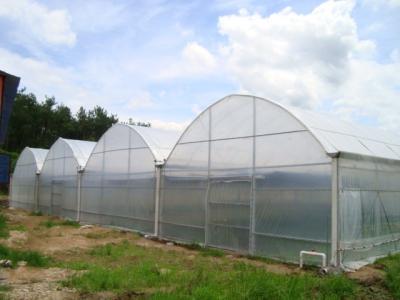 China Rainfall 140mm/H Large Green Houses , Dome Style Greenhouse Snow Load 0.45KN/㎡ for sale