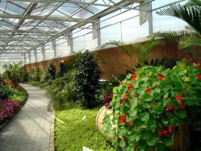 China Side Height 2-6m PC Sheet Greenhouse / Clear Polycarbonate Greenhouse For Flower for sale