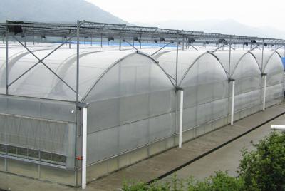 China Multi Span Polyethylene Plastic Sheeting Greenhouse Arched Roof Top Height 4.0-8.0m for sale