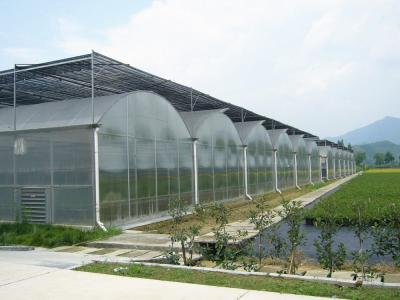 China Bolting Connection Polycarbonate Panel Greenhouse , Durable Dome Shaped Greenhouse for sale