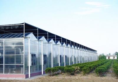 China PC Sheet Commercial Hydroponic Greenhouse For Cultivation Vegetables / Flowers / Fruit Trees for sale