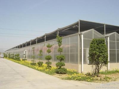 China No Welded PC Sheet Greenhouse Galvanized Steel Skeleton Various Sheet Colors Available for sale